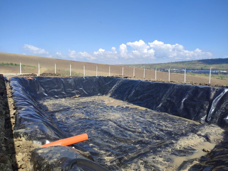 bazine stcare si dejectii